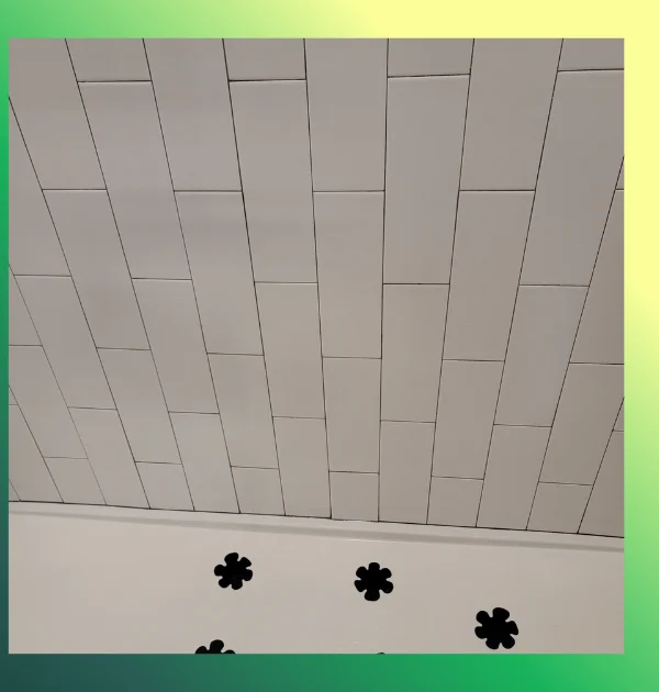 Bathroom detail after cleaning