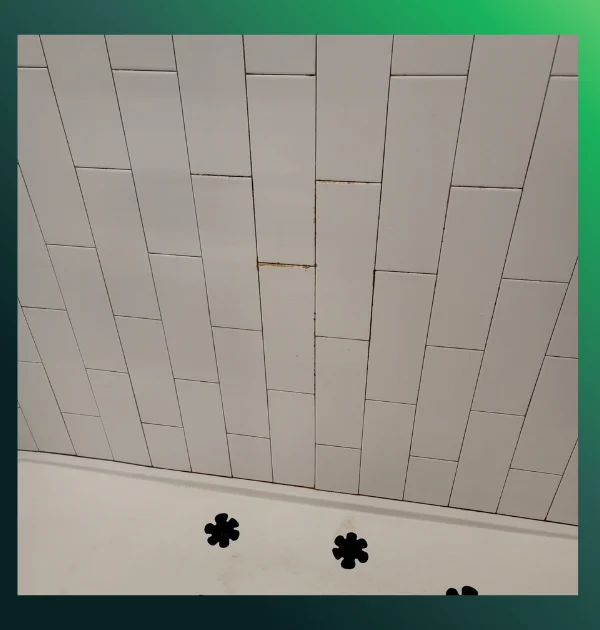 Bathroom detail before cleaning